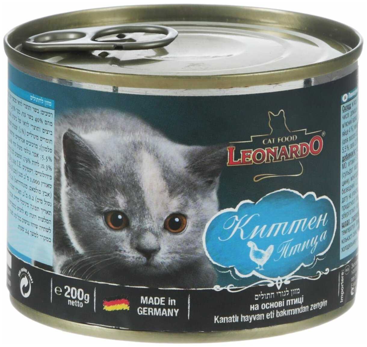 Как правильно кормить кошку влажным кормом?