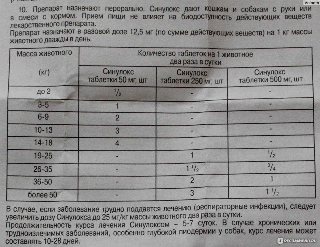 Нороклав для кошек: инструкция по применению | звери дома