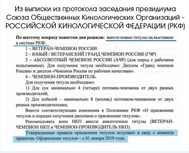 Ранги выставок, классы, оценки и титулы - питомник husky fund