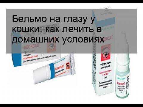 Лечение бельмо у собаки, причины, как и чем лечить