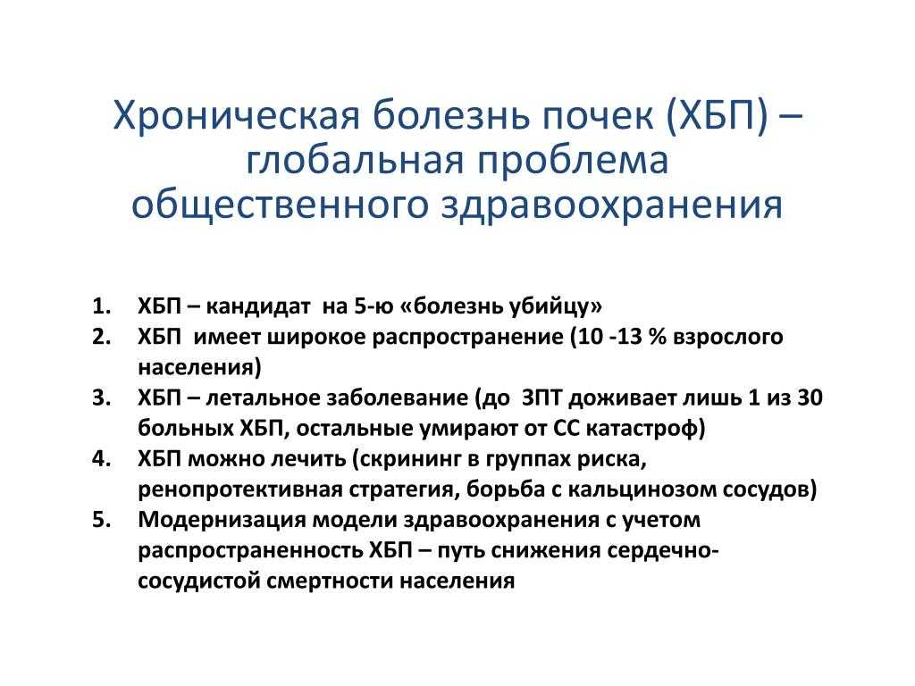 Почечная недостаточность у кошек: группы риска, симптомы, острая и хроническая формы, диагностика, лечение и диета, профилактика