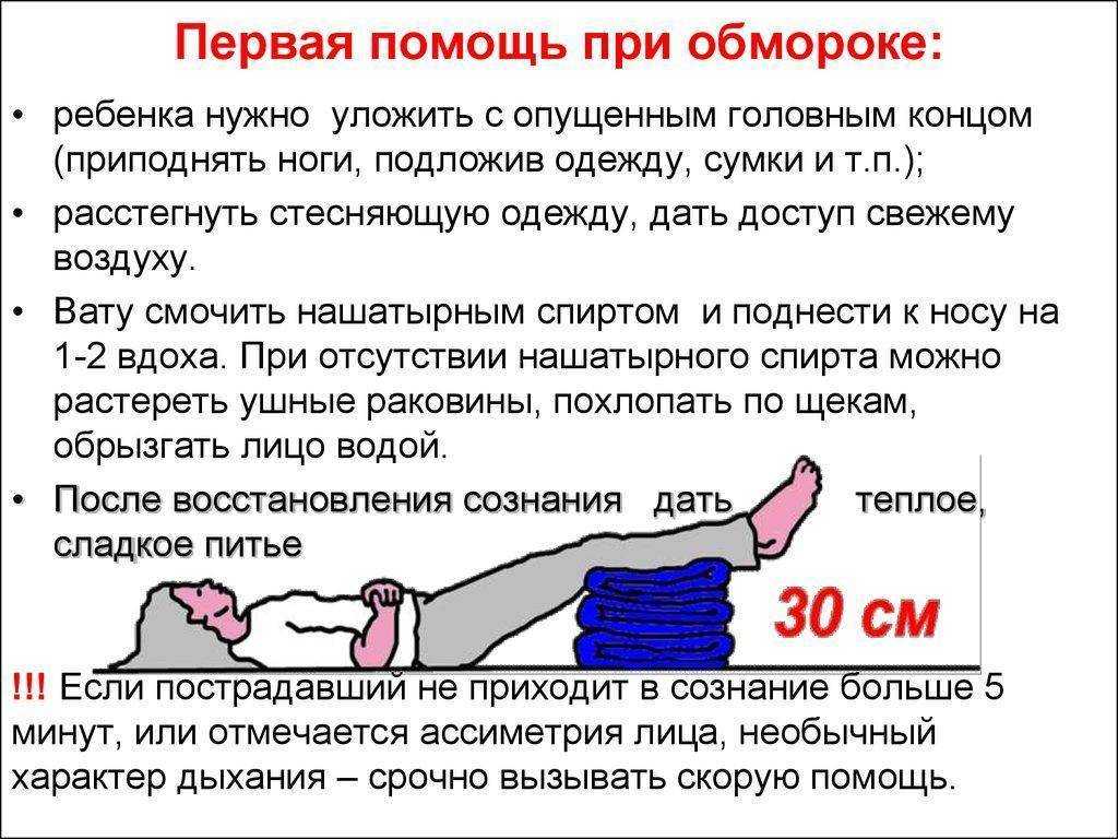 Причины потери сознания у собаки: первая помощь | ваши питомцы