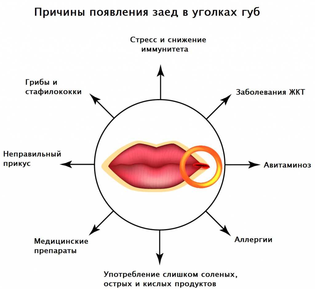 У кота черное вокруг рта — о животных на чистоту