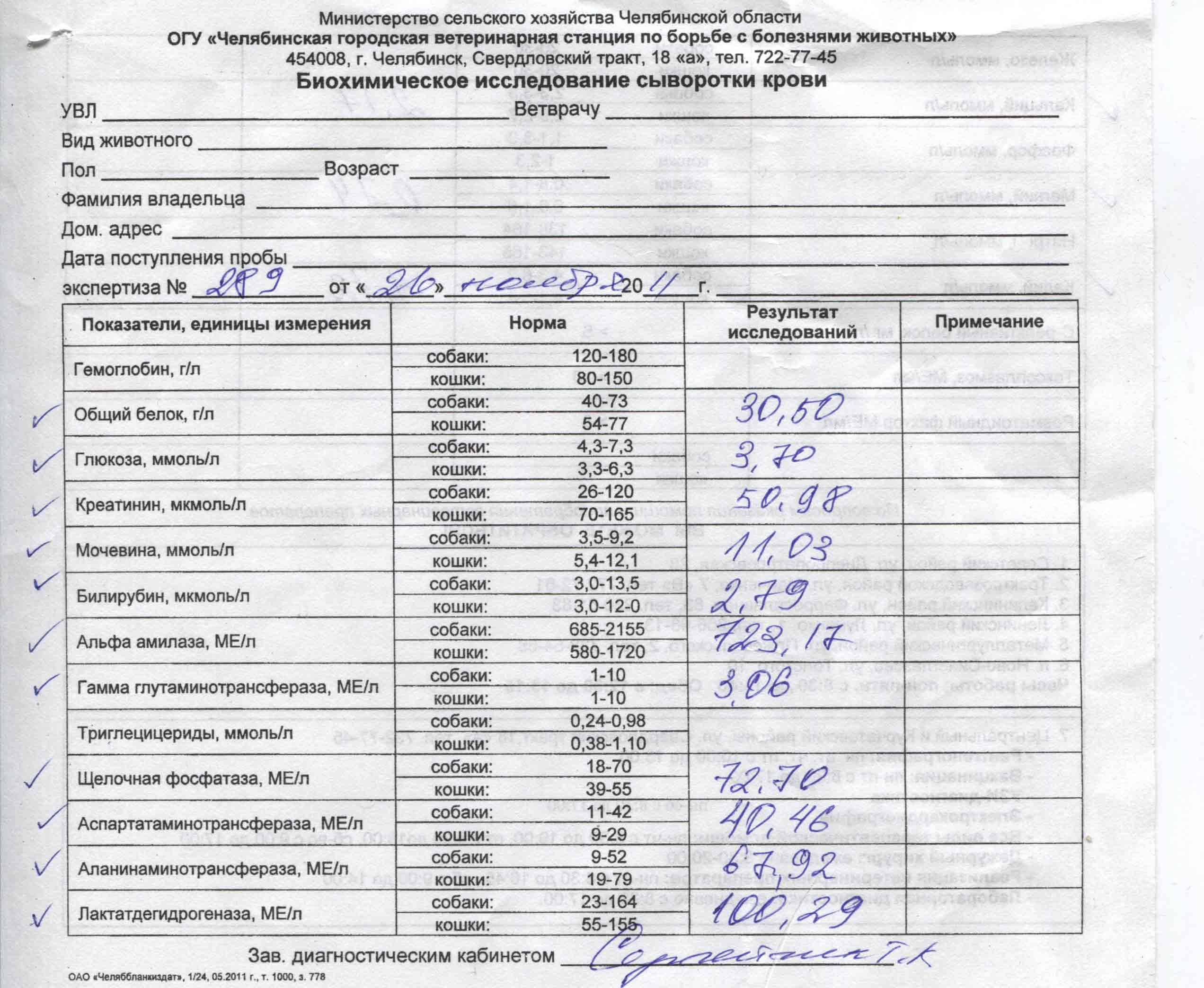 Амилаза ед л. Норма анализов крови на панкреатическая амилаза. Панкреатическая амилаза у собак норма.