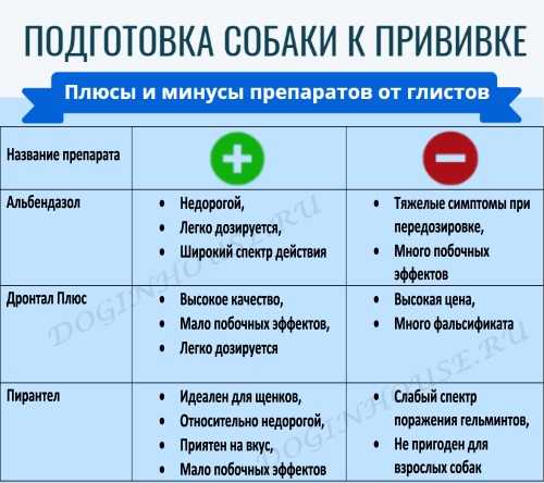 Подготовка кошки к вакцинации и укрепление иммунитета - кот, пёс и я