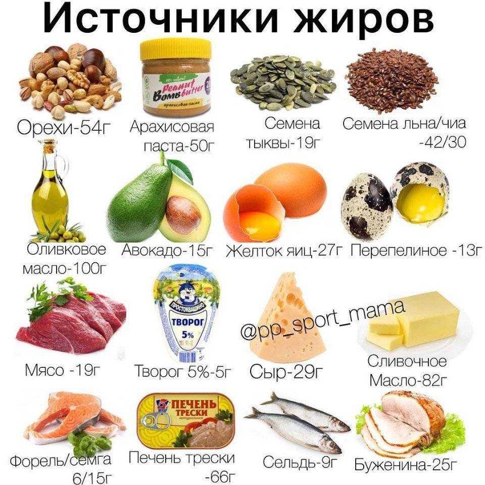 Рыбий жир для собак и щенков: дозировка, применение, когда можно, а когда нельзя давать рыбий жир собаке