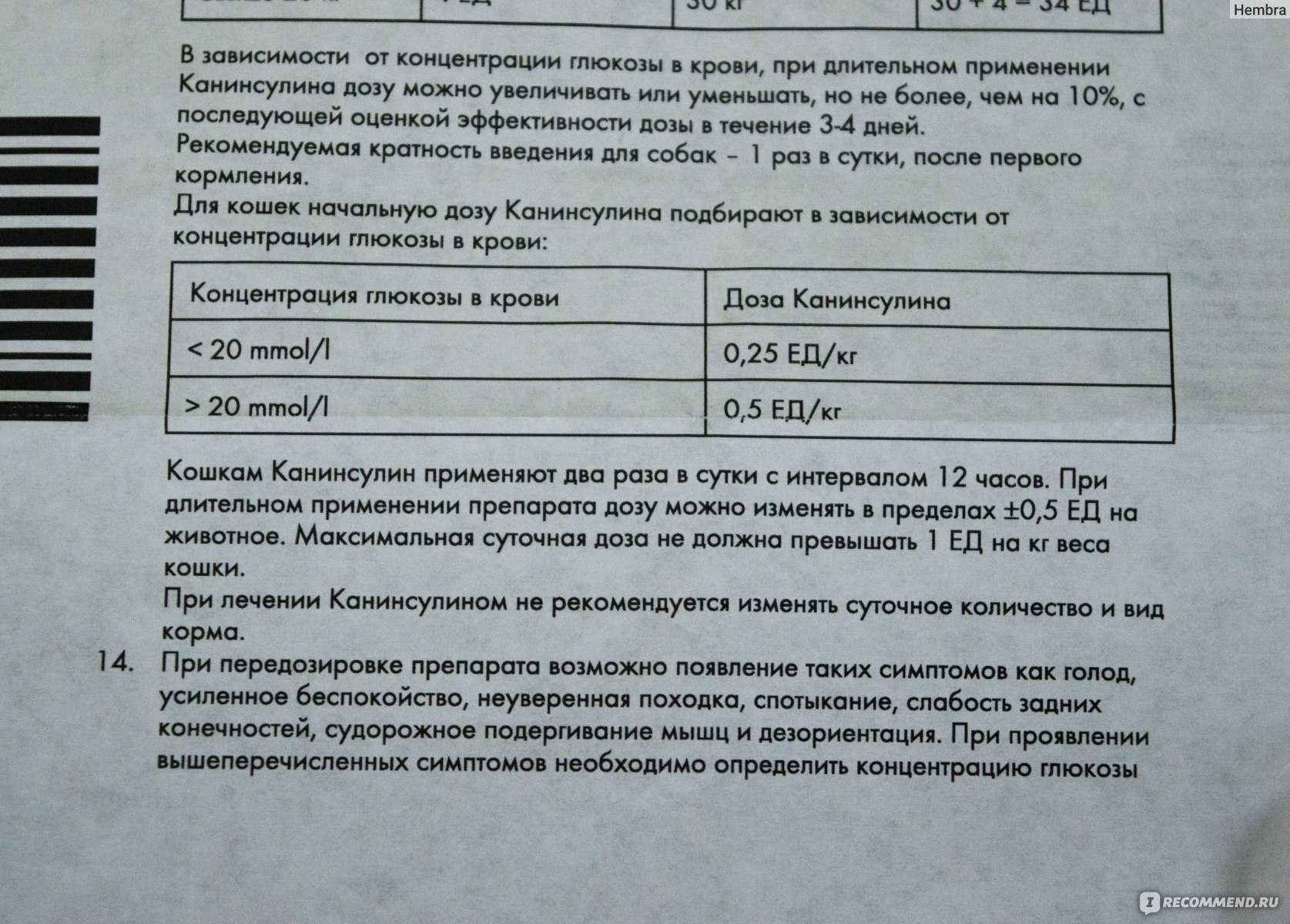 Глюкоза для кошек: инструкция по применению | как колоть раствор, дозировка