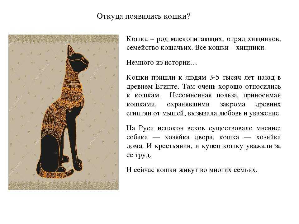 От чего кошку назвали кошкой маршак. почему кошку назвали кошкой. слово кошка в разных языках