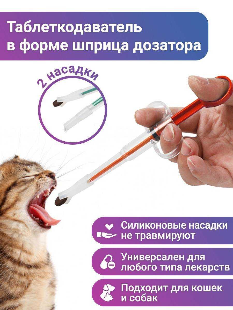 Как быстро и без труда дать кошке таблетку? |