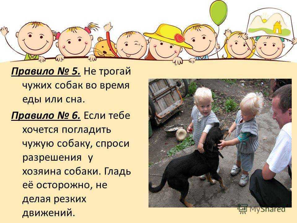 У кого маленький ребенок и собака? поделитесь опытом по алгоритму выгула собаки: коляска+собака, бэбибьерн/слинг и собака?