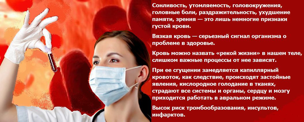 Чем спровоцирована и как лечится анемия у кошек