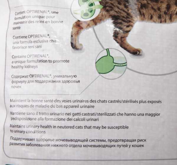 Рацион кастрированного кота и кошки