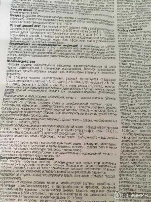 Обзор антибиотиков для кошек: популярные препараты и правила приема, противопоказания