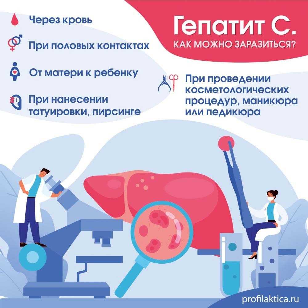 Гепатит у собак: симптомы и лечение