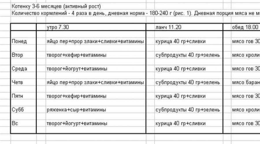 Субпродукты для кошек: какие лучше давать, в каком количестве и как часто, сырые или вареные, для чего вводить в рацион