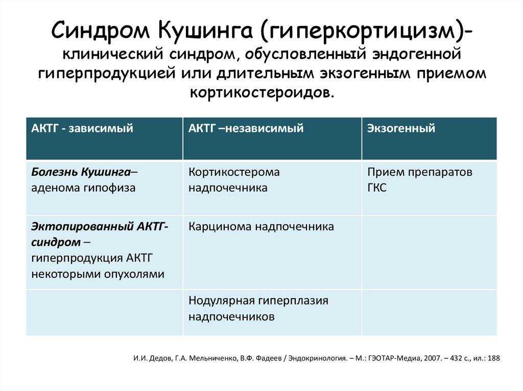 Синдром кушинга у собак: что это, какие симптомы, прогнозы и лечение