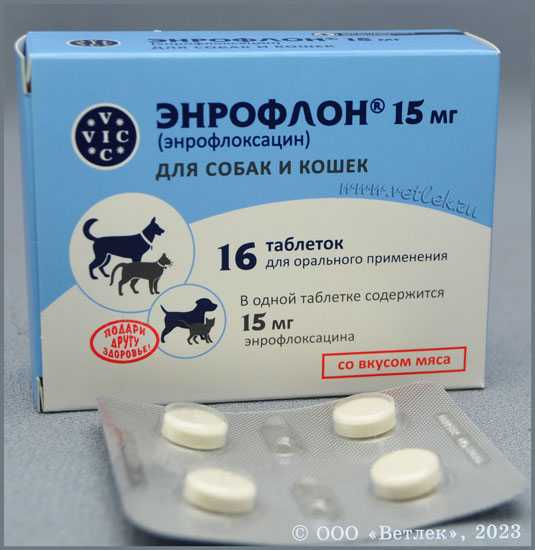Инструкция по применению препарата "энрофлон" для птиц
