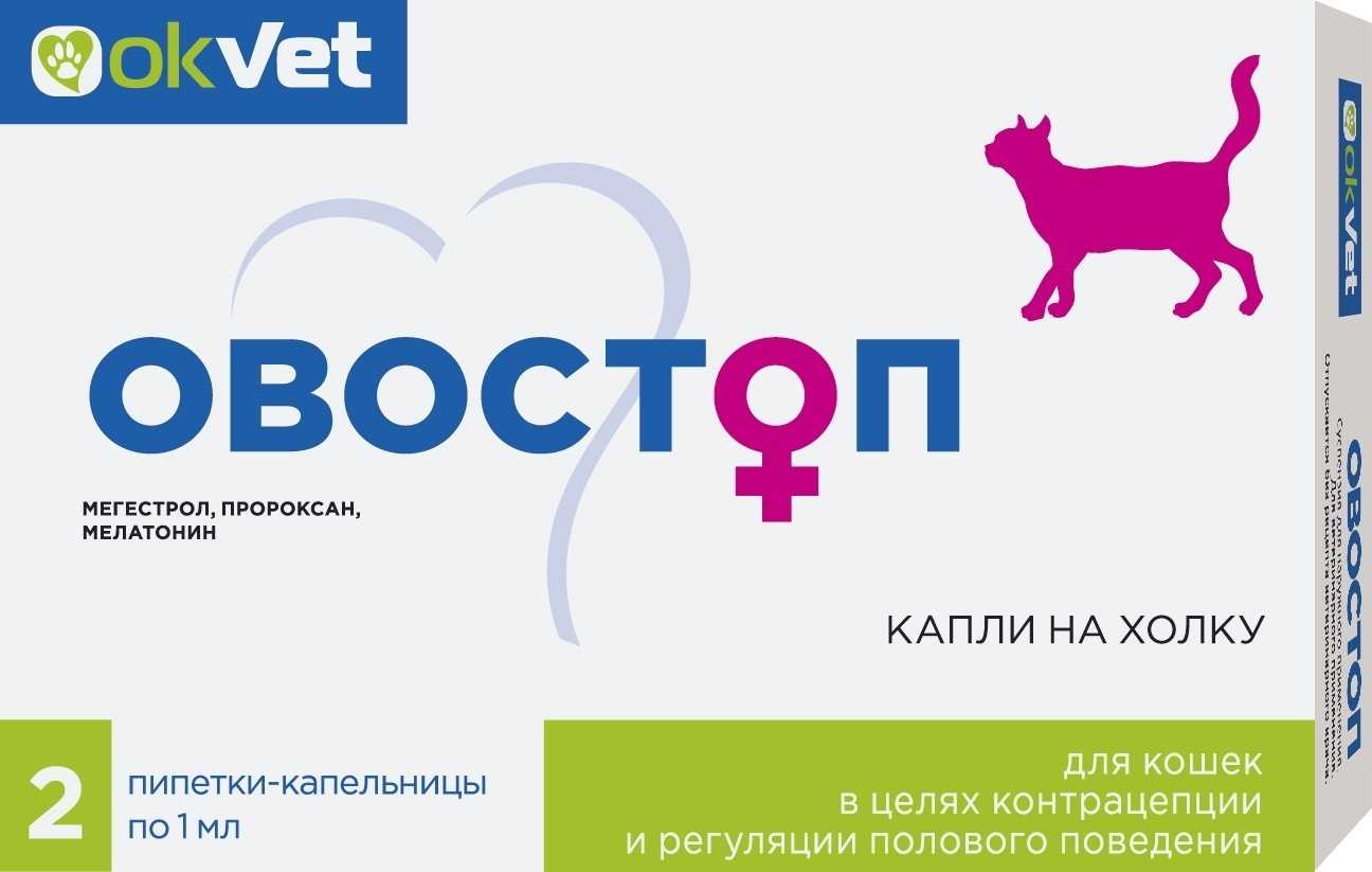 Можно ли стерилизовать кошку при течке и почему