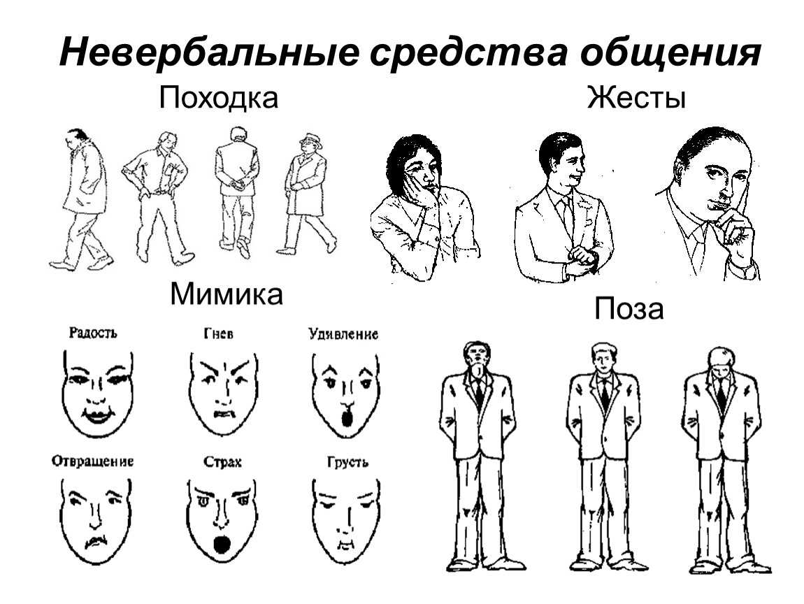 Психология собак. позы, мимика, жесты. | блог ветклиники "беланта"