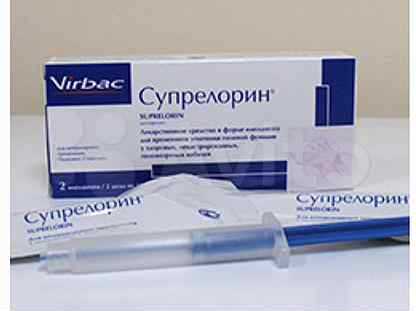 Кастрация кобеля, маленьких собак - плюсы и минусы операции