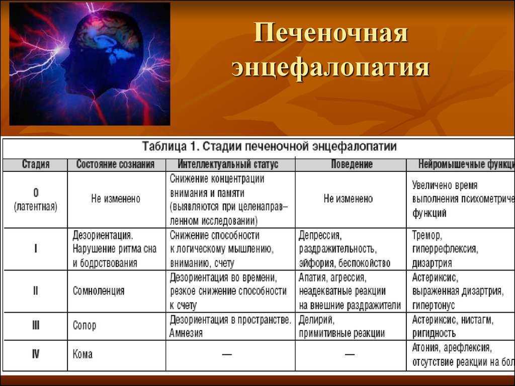 Лечение печени у собак - препараты, симптомы болезни печени у собак