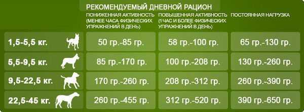 Норма корма для собак