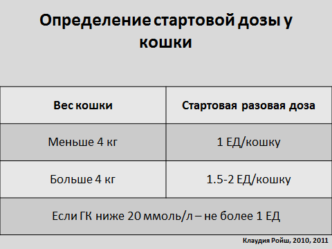 Повышена глюкоза в крови у кота: причины повышения уровня сахара, методы лечения