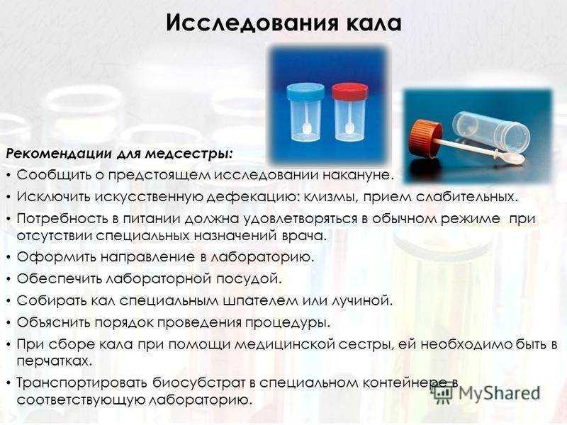 Как собрать мочу у кота: обзор всех способов - zoolog.guru