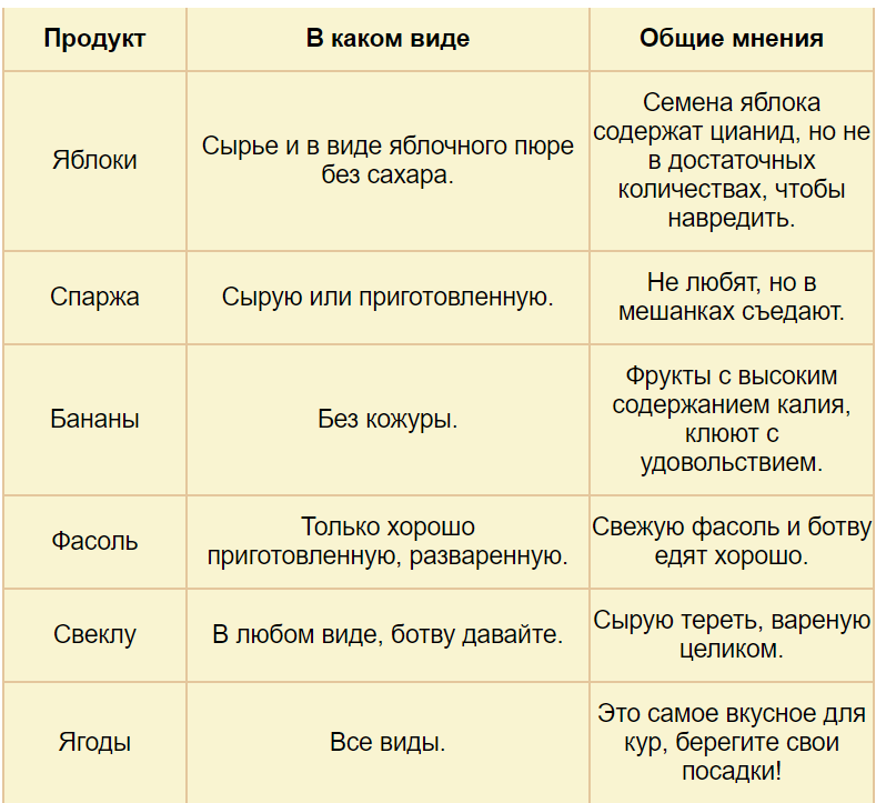 Яйца собакам: можно ли давать и в каком виде, особенности кормления животных
