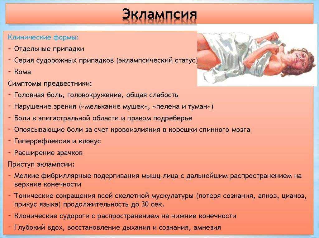 Эклампсия у кошек во время беременности и после родов - все о породах кошек с описанием, фотографиями и названиями.все о породах кошек с описанием, фотографиями и названиями.