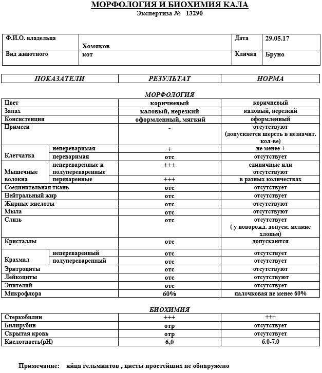 Клинический анализ кала — копрограмма. анализ кала на яйца гельминтов