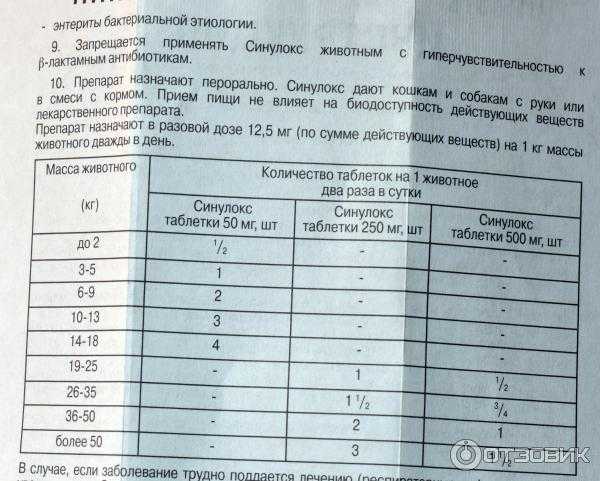 Синулокс — инструкция по применению для продуктивных животных, кошек и собак