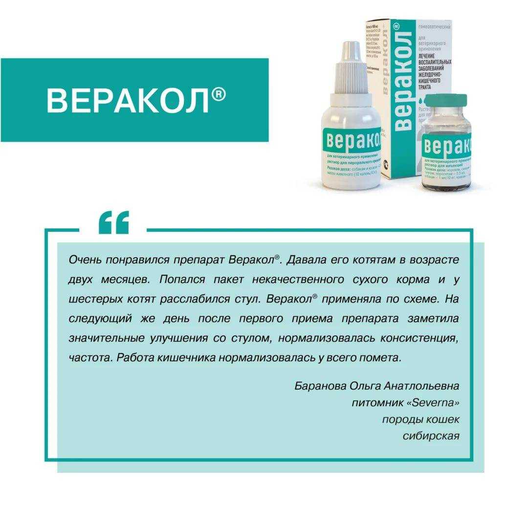 Веракол для кошек: полное описание препарата и его назначение