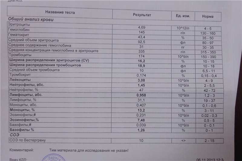 Биохимический анализ крови кошки - что означают его показатели