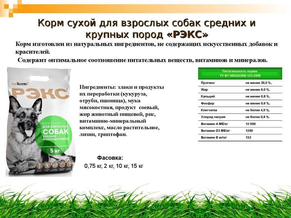 Как вкусно готовить натуралку для собаки?