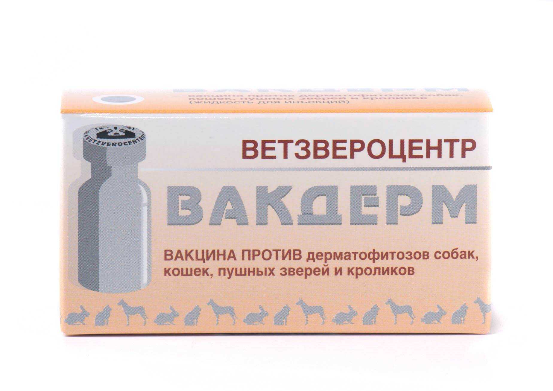 Вакдерм для собак: инструкция по применению, назначение и ограничения, отзывы