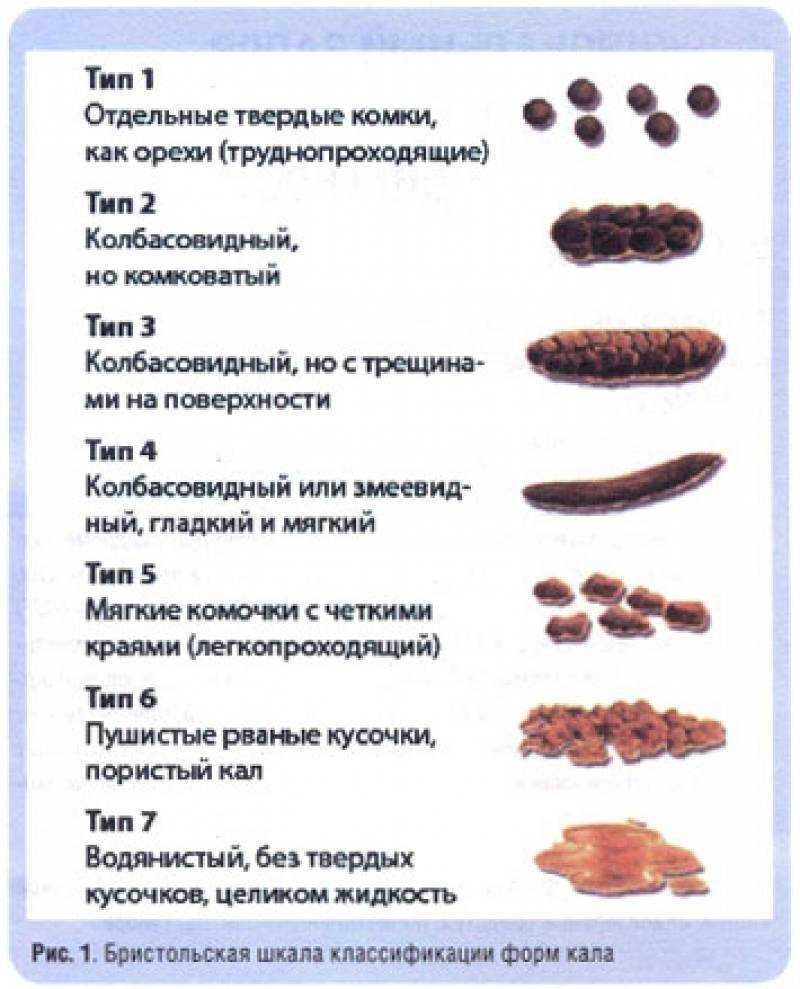 Кровь в кале у кота
