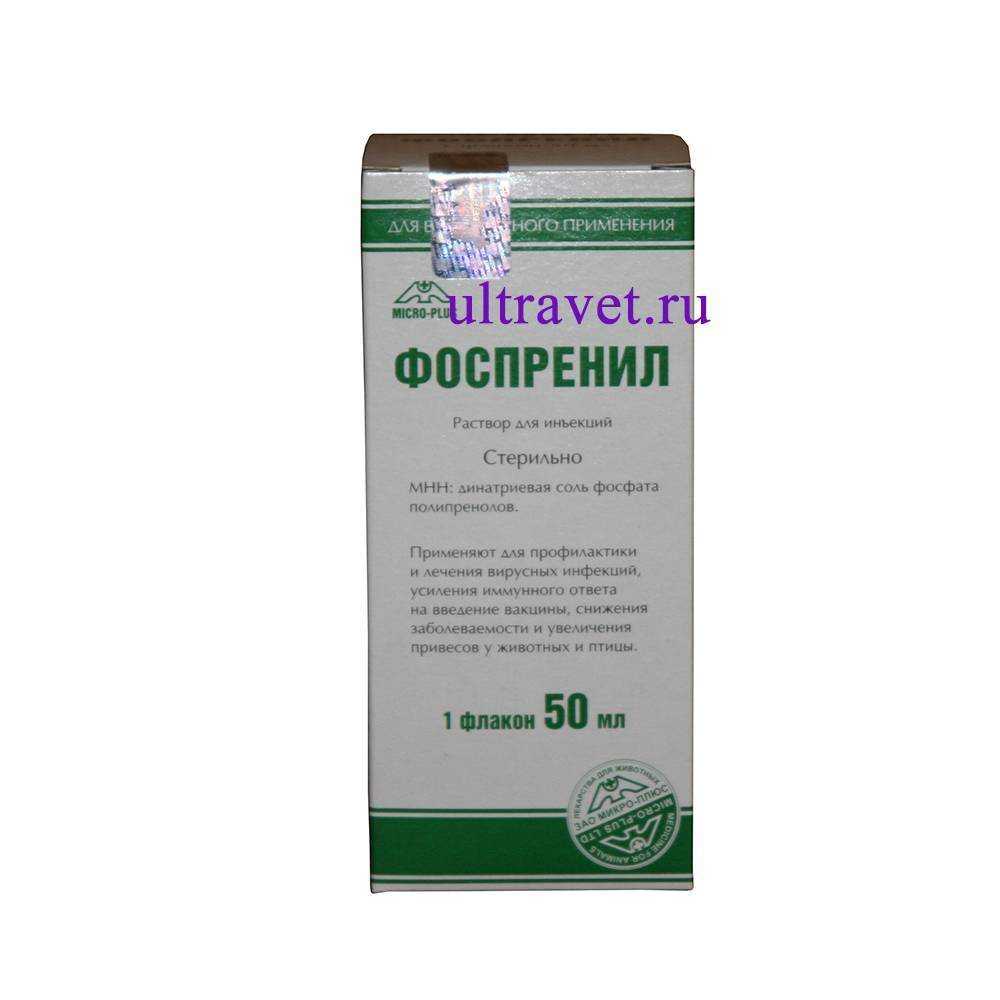 Фоспренил для кошек: описание и практическое применение | ваши питомцы