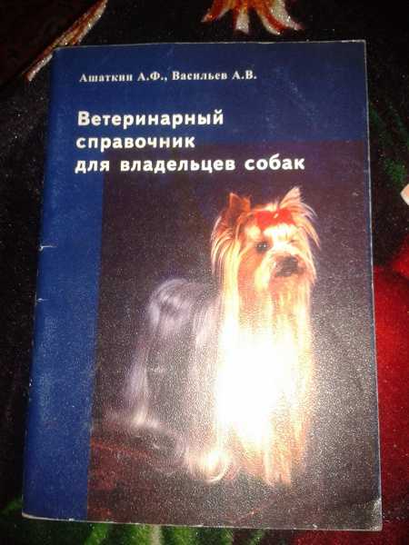 Воспаление яичек у собак фото