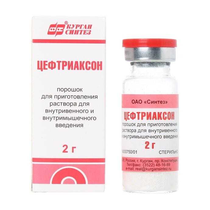 Цефтриаксон для кошек: назначение и инструкция к применению.