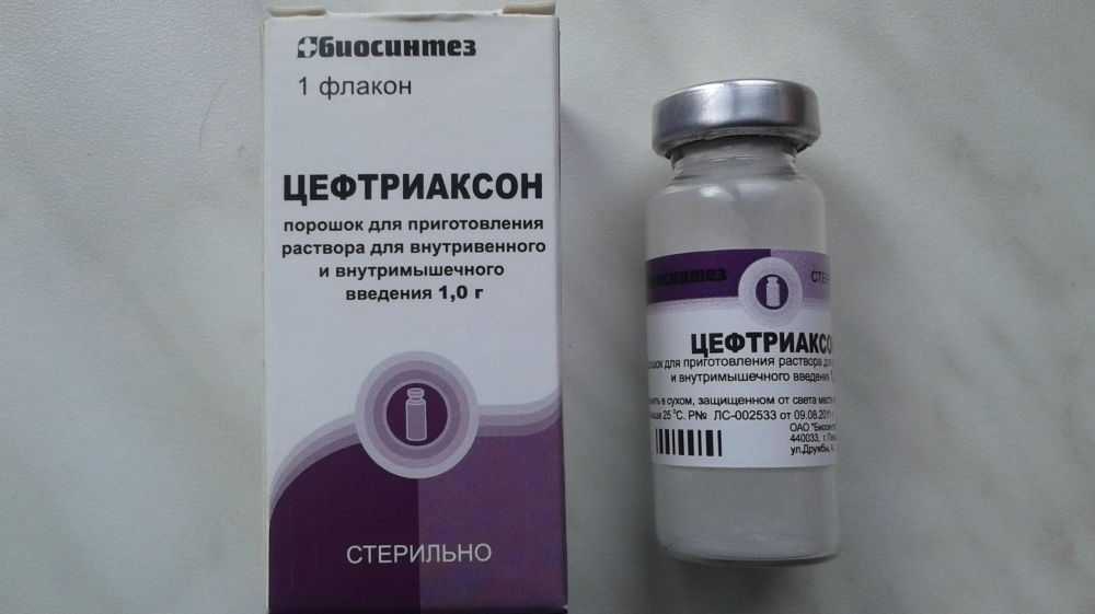 Антибиотики для кошек