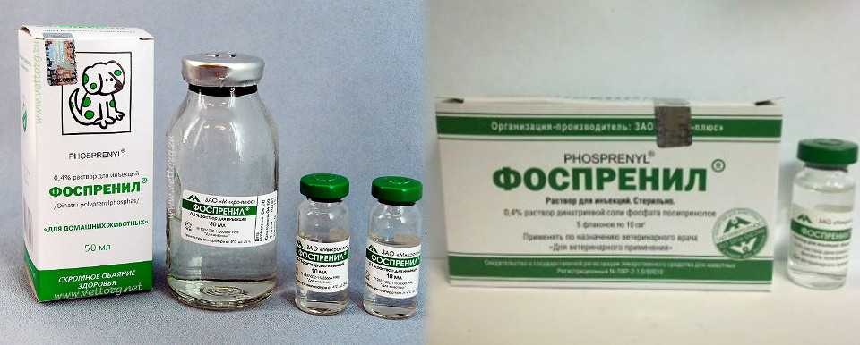 Фоспренил для кошек: инструкция по применению