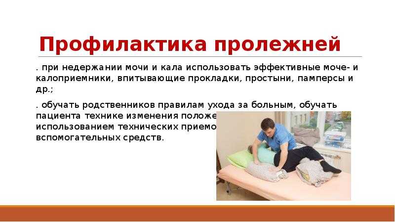 Острая задержка мочи у кошек
