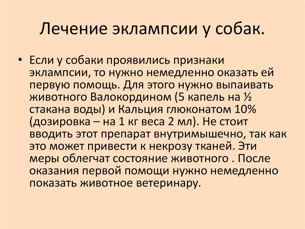 Дородовая и послеродовая эклампсия у собак с дефицитом кальция | блог ветклиники "беланта"