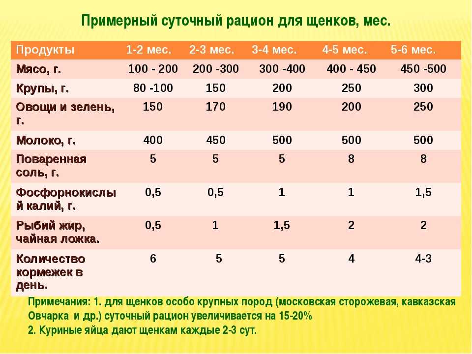 Уход за щенком: кормление, воспитание щенков (новорожденных, в 1 месяц и других) | нпк "скифф"