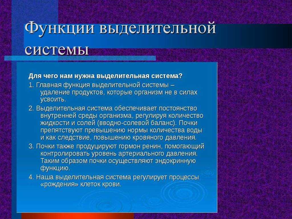 Потеют ли кошки