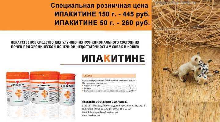 ᐉ ипакитине для собак — инструкция, отзывы - ➡ motildazoo.ru