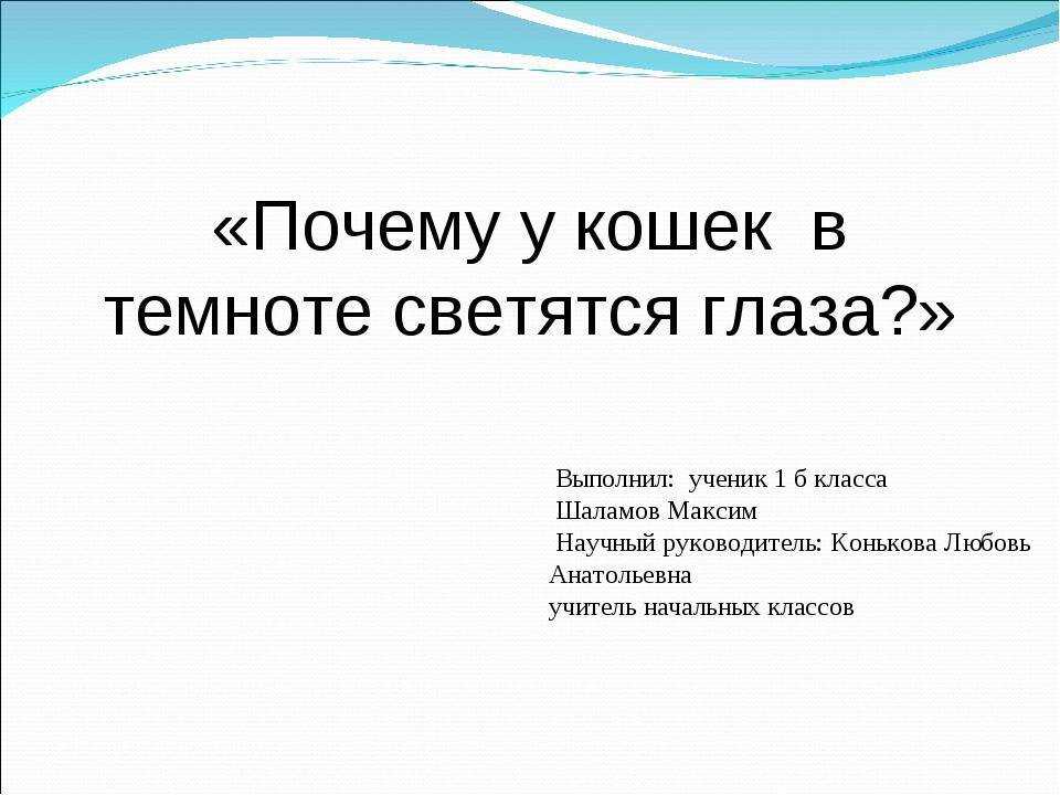 Почему у кошек светятся глаза в темноте: объясняем понятно и подробно