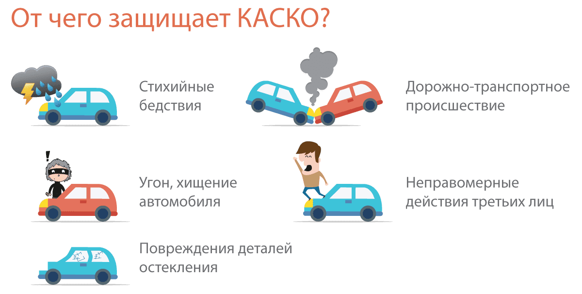 Что делать, если сбили домашнее животное на дороге? какой штраф