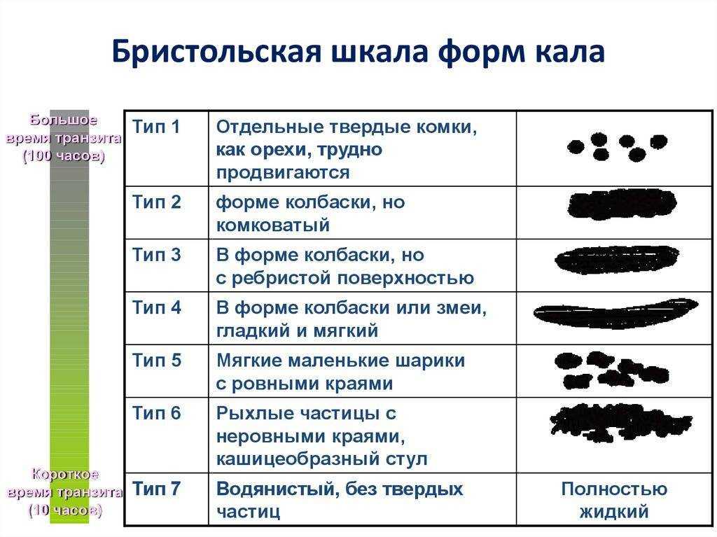 Серый кал у собаки. как сделать стул собаки более твердым. о чем говорит цвет